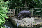 Hippo