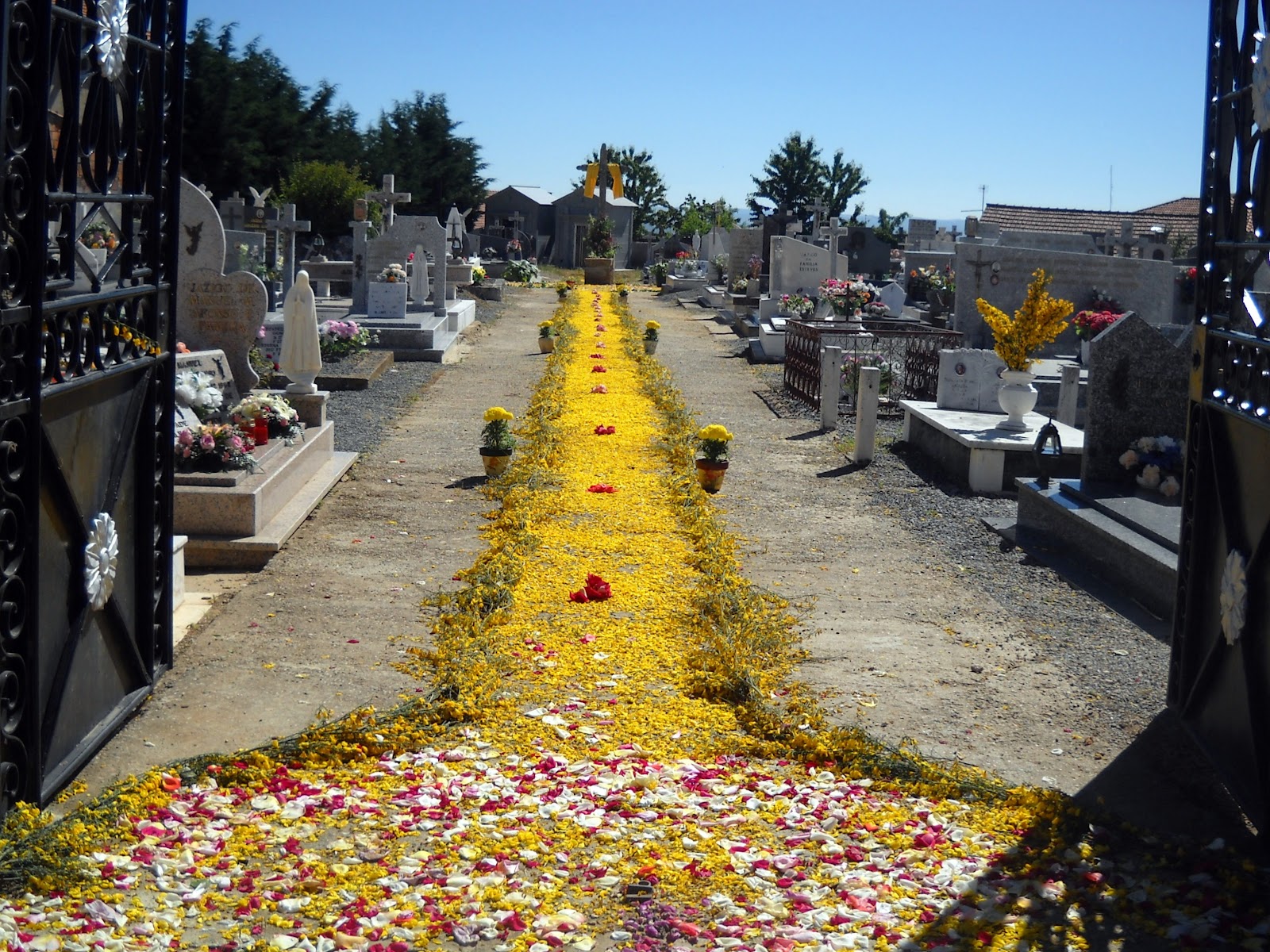 [DSCN6376%255B3%255D.jpg]