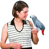 Visit our hospital virtually with these pictures and of the staff here. Bird and Exotic Hospital