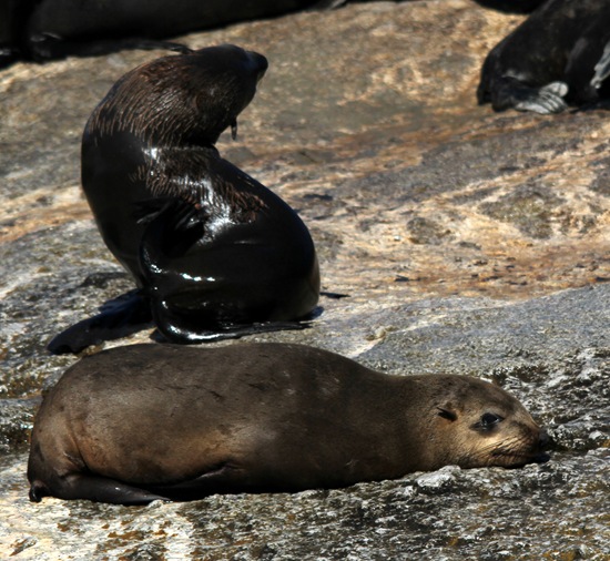 IMG_1557