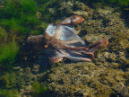 P1020040.JPG