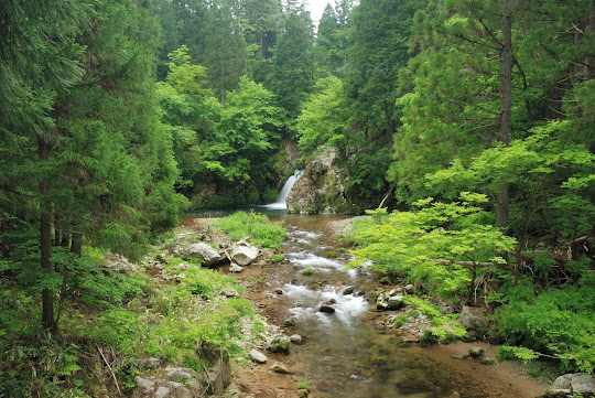 鳴滝