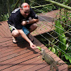 Orangutan Island 102.JPG