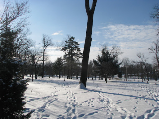 Snowfall at Phelps Grove Park  photo credit:  Michele Skalicky