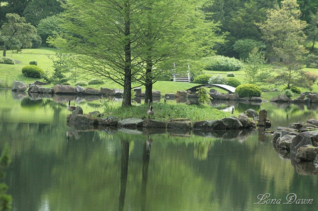 [DA_JapaneseGarden_Lake%255B7%255D.jpg]
