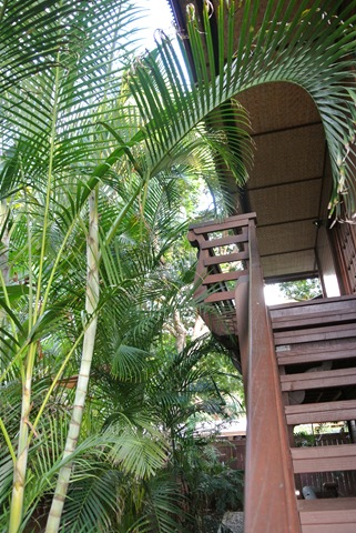 [DSC_2340%255B3%255D.jpg]
