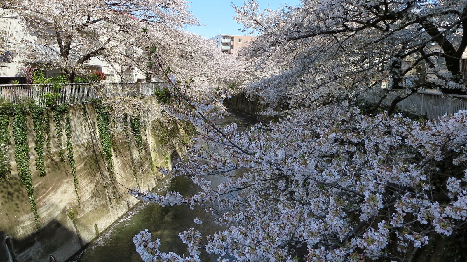 [IMG_0893%255B3%255D.jpg]