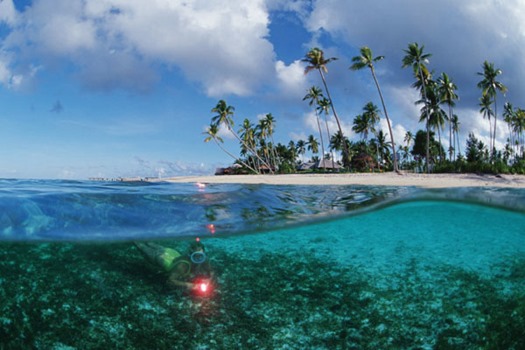 Wakatobi Wakatobi