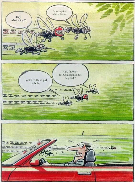 Three Mosquitos flying towards a car, one wearing a helmet. They hit the windscreen, and the one with a helmet survives.