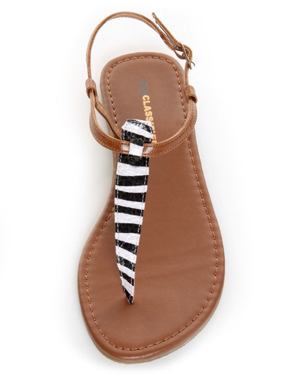 [zebra%255B3%255D.jpg]