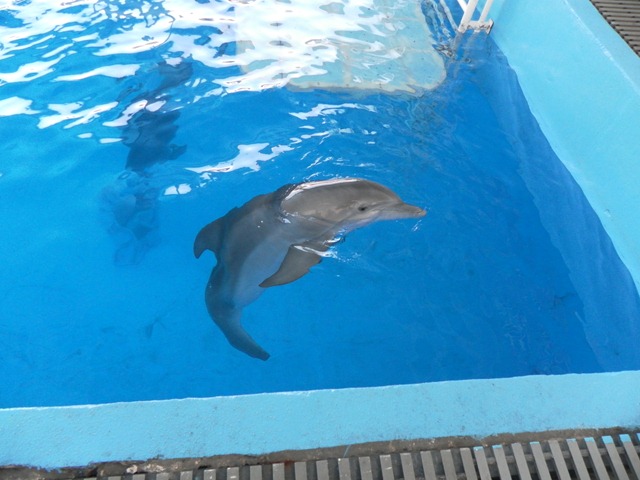 [SAM_1860%255B3%255D.jpg]