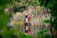 NZD2-12_PA&JK_95070017.JPG