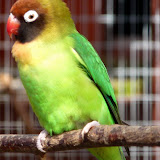 Rodbaston Nature Centre
