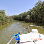 DSCN0202.JPG