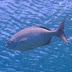 P5053320