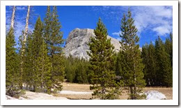 P1160221 - Tuolumne Meadows hike