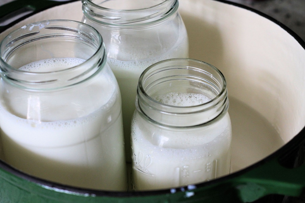 [milk_homemade_yogurt_recipes%255B5%255D.jpg]