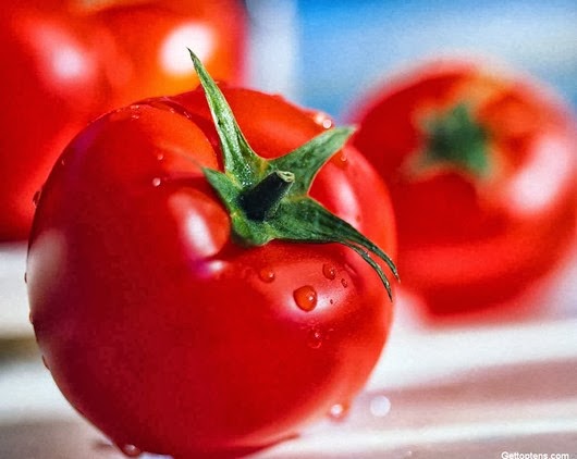 [most-poisonous-foods-we-love-to-eat-tomatoes%255B3%255D.jpg]
