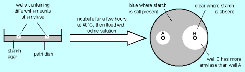 [image%255B28%255D.png]