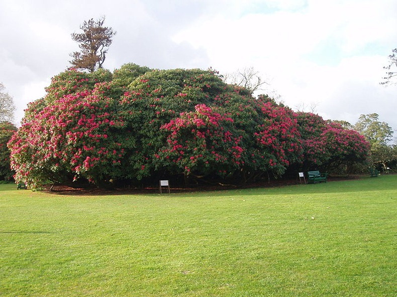 lost-garden-heligen-1