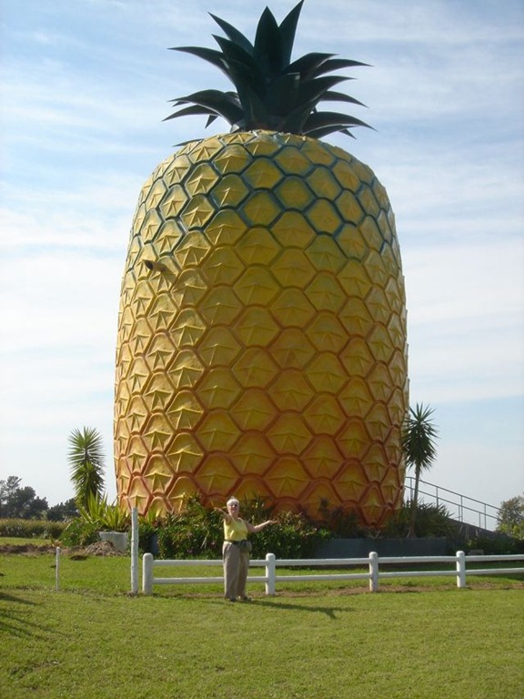 [big_pineapple%2520SUNSHINE%2520COAST%255B6%255D.jpg]