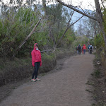 DSC_0625.JPG