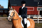 Game Over och Freja