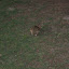 Florida08 330.jpg