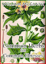 Common Herbs For Common Illnesses
