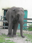 zoo 068.jpg