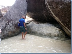 bvis 008