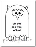 owl7