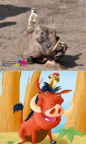 [viralpicdumppics172.jpg]