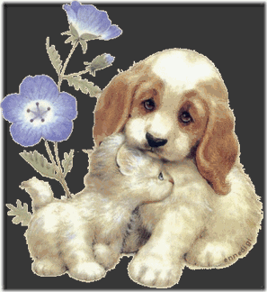fotos de perritos imagenesifotos.blogspot (2)