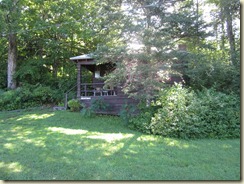 IMG_2227 IMG_2227
