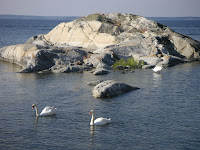 PICT0130.JPG
