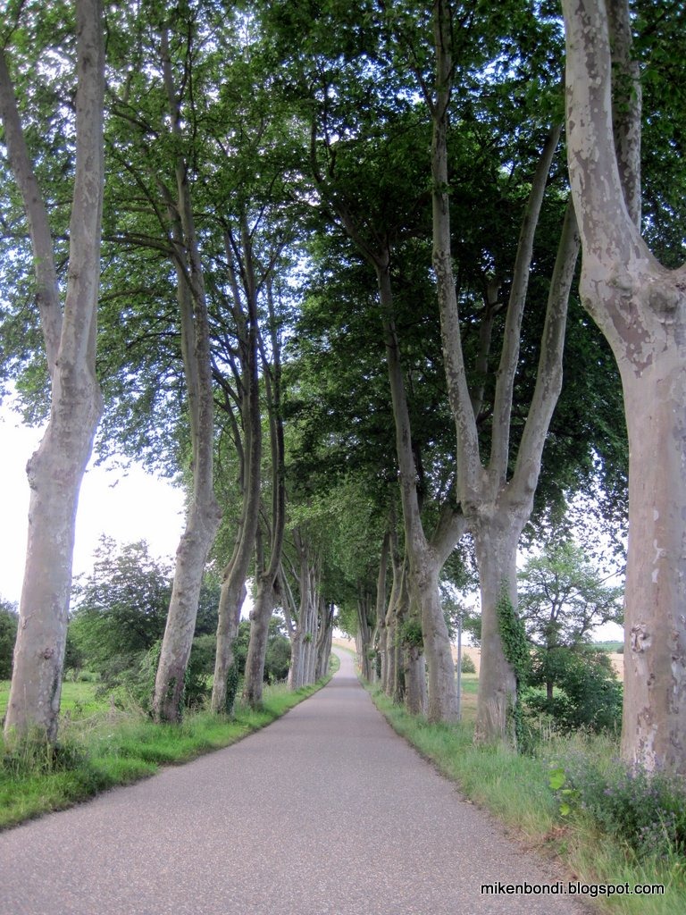 [boulevard%255B6%255D.jpg]