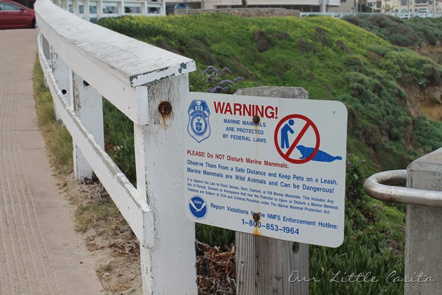 [SanDiego20121706.jpg]