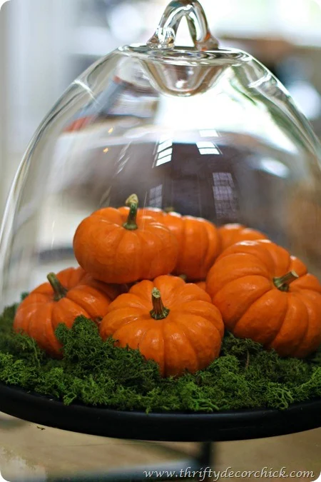 decorating with pumpkins