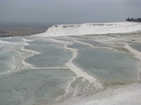 IMG_1242 IMG_1242