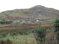 IMG_3301.JPG Photo