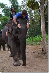 Laos Luang Prabang Elephant mahout course 140202_0061