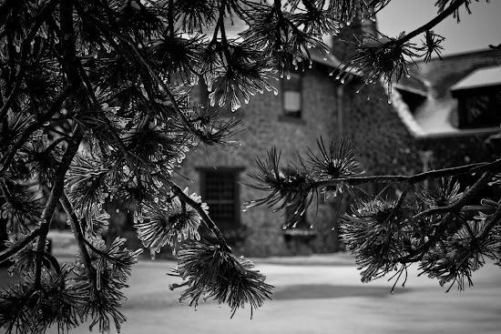 _MG_5301.jpg