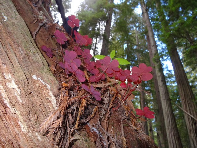 DSC05730 DSC05730