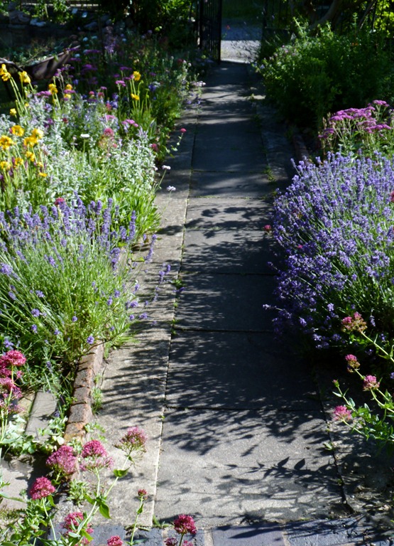 [garden%2520june%25202011%2520003%255B4%255D.jpg]