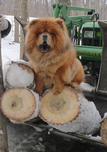OK - Now that the logs are loaded up, what's next?
