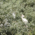 IMG_6614.JPG