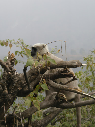 Imgp0894