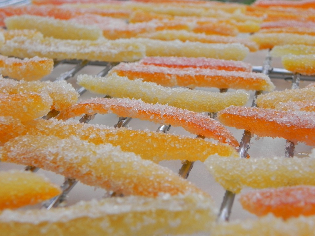 [DSCN7675%255B3%255D.jpg]