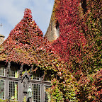 Outside the Gruuthuse Museum DSC_0964.jpg